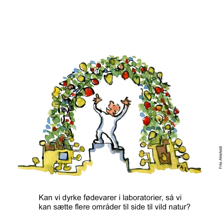 Tegning af en mand som dyrker mad i et laboratorium - Klimaforandringer illustration af Frits Ahlefeldt
