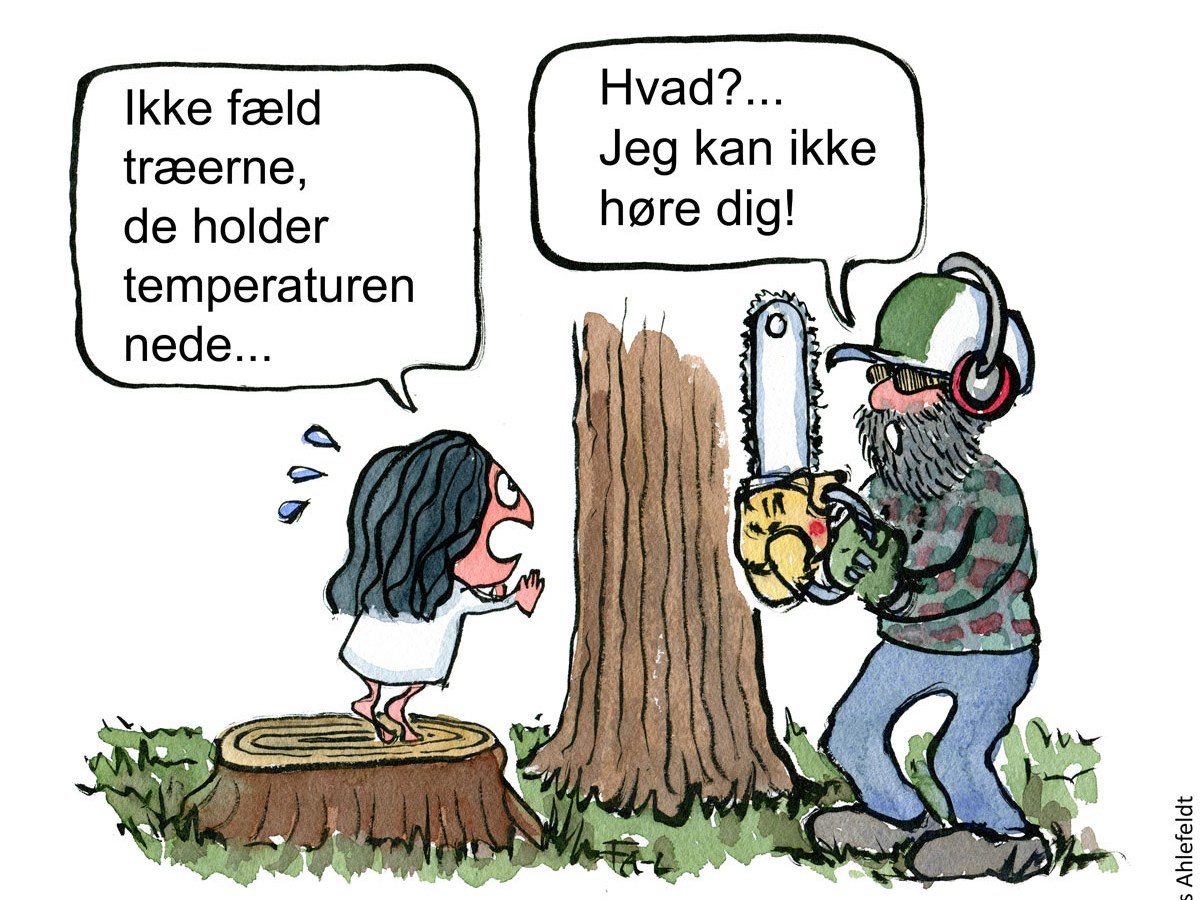 Træer holder temperaturen&nbsp;nede