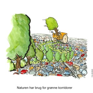 Tegning af et træ på en damptromle, der laver en grøn korridor mellem biler Klimaforandringer illustration af Frits Ahlefeldt