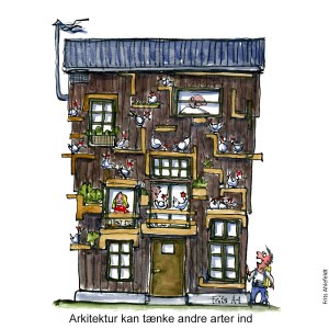 Tegning af et hus med høns rundt omkring på facaden - Klimaforandringer illustration af Frits Ahlefeldt