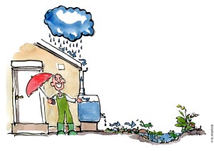 Tegning af et hus med regnvandsopsamling til biodiversitet Klimaforandringer illustration af Frits Ahlefeldt
