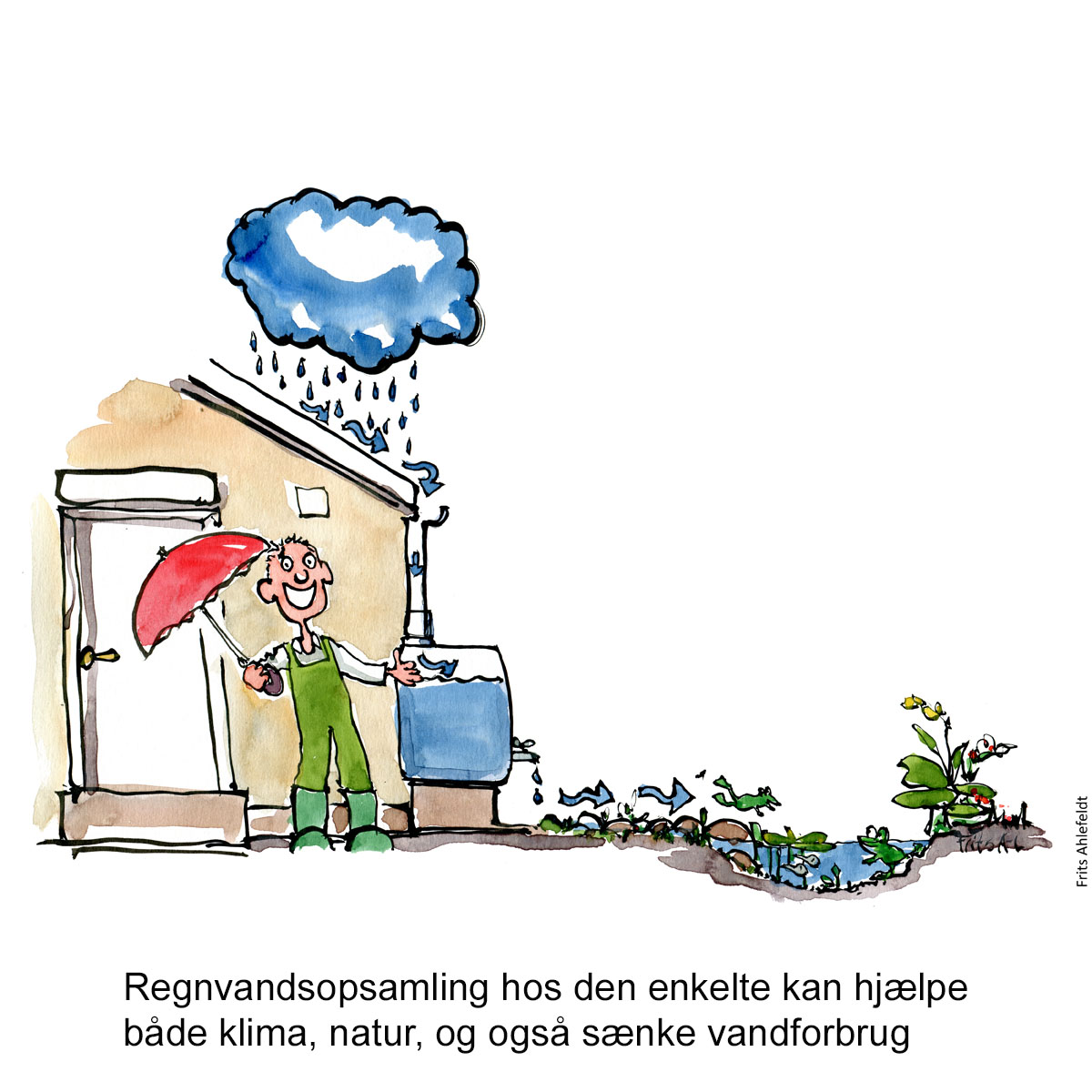Tegning af et hus med regnvandsopsamling til biodiversitet -Klimaforandringer illustration af Frits Ahlefeldt