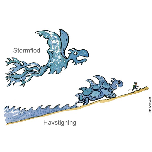 Tegning af stormflod, vs havstigninger, som fugl og skilpadde havstigninger - klima Illustration af Frits Ahlefeldt