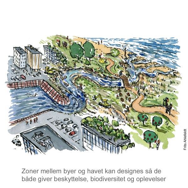 Tegning af byen møder havet ved vandløb - havstigninger - klima Illustration af Frits Ahlefeldt
