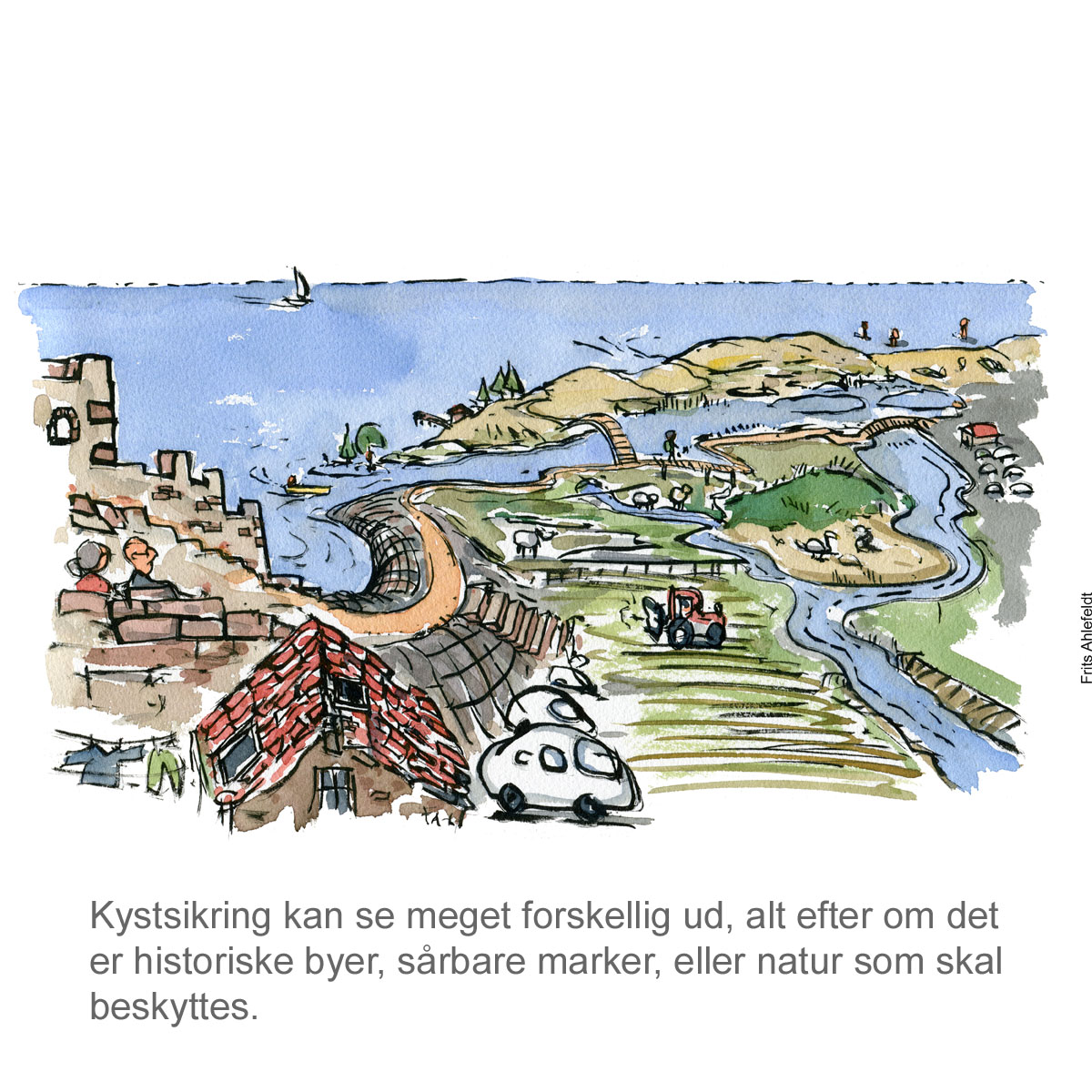 Beskyttelse mod havstigninger - diger, hårde og bløde klimabeskyttelsesløsninger, - klima Illustration af Frits Ahlefeldt