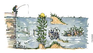 Tegning af Nature-based solution - naturløsninger mod havstigninger - klima Illustration af Frits Ahlefeldt