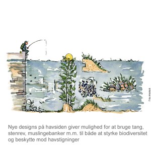 Tegning af Nature-based solution - naturløsninger mod havstigninger - klima Illustration af Frits Ahlefeldt