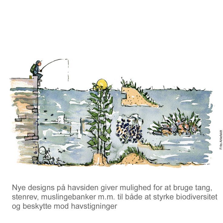 Tegning af Nature-based solution - naturløsninger mod havstigninger - klima Illustration af Frits Ahlefeldt